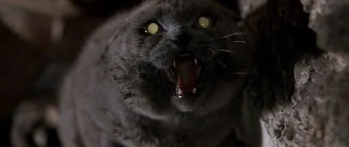 Filmes Terror | Cemitério de Animais Maldito