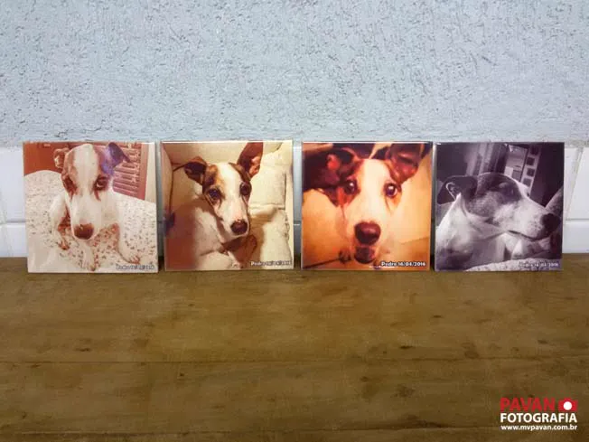 Foto Quadro Azulejo Transados Pavan Fotografia (16)