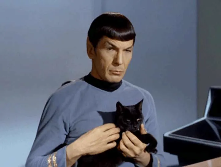 Frases-Fotos-Spock (17)