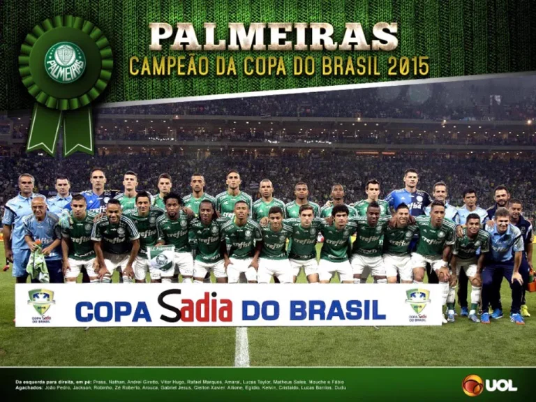 Palmeiras Campeao Copa Brasil 2015 (1)