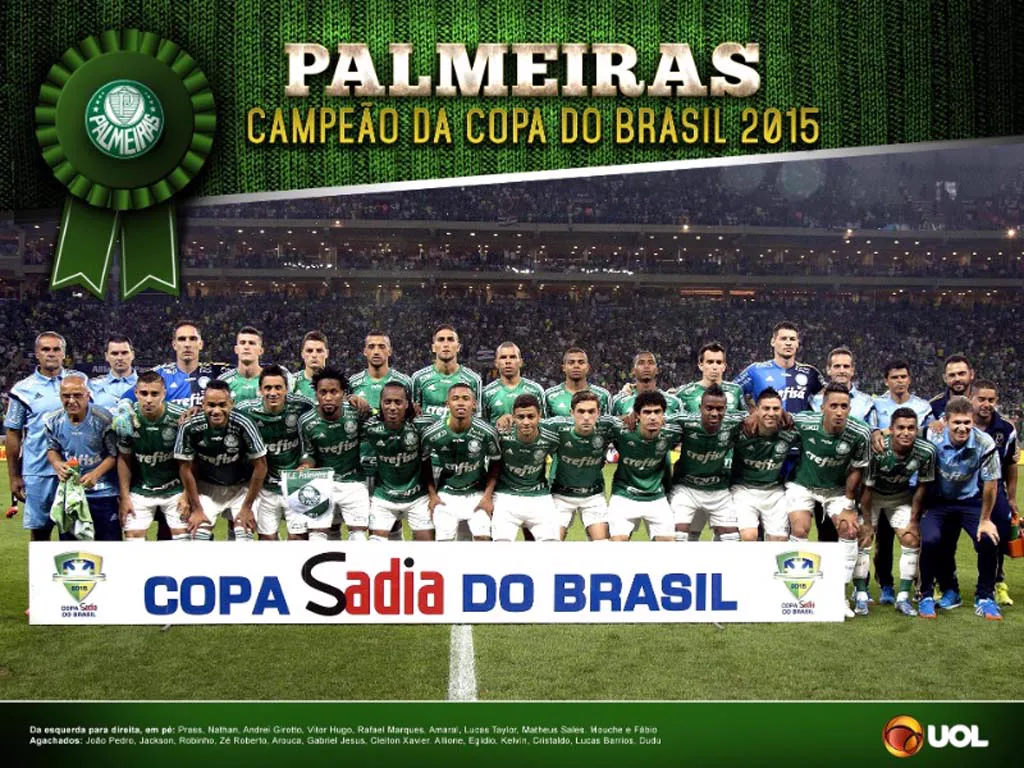 Palmeiras Campeao Copa Brasil 2015 (1)