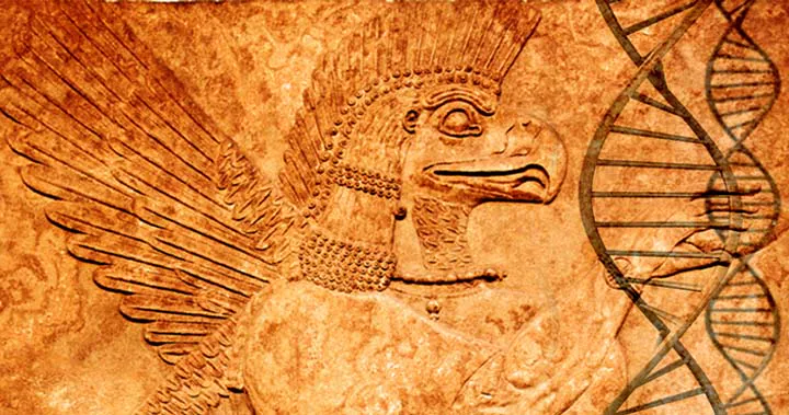 Humanos Fator RH Negativo Linhagem Extraterrestre