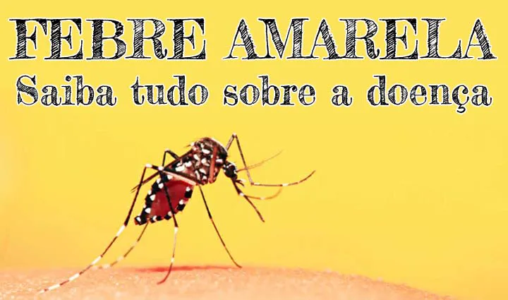 Saiba Tudo Doenca Febre Amarela 1