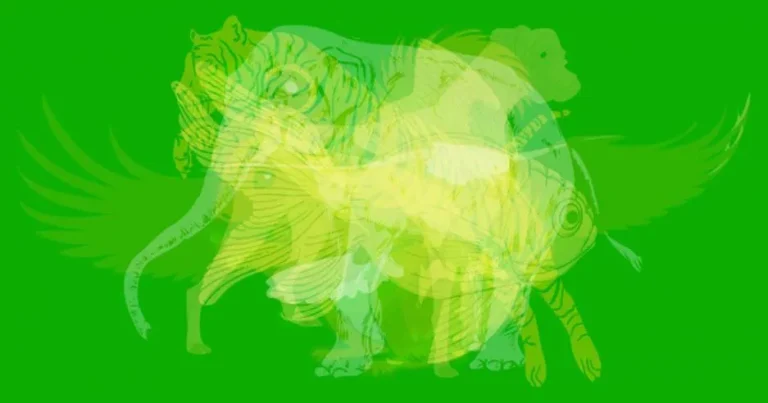 Personalidade Animal Que Voce Eh 1