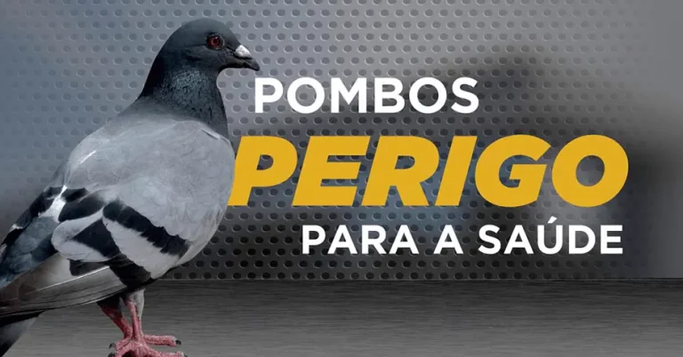 Doenca Pombo Criptococose 00