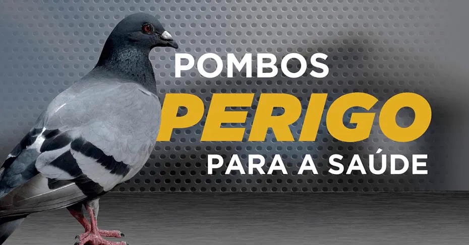 Doenca Pombo Criptococose 00